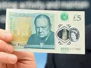 British Banknotes to Feature Wildlife, Replacing Historic Figures Like Churchill