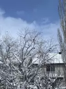 Calgary Braces for Heavy Snowfall as Winter Storm Continues Through Weekend