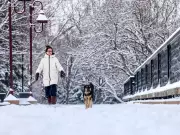 Calgary Braces for More Snow During Peak Snowfall Months, Says Environment Canada