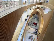 Calgary Library Launches AI Art Residency to Explore Technology's Creative Impact