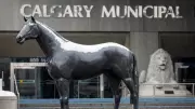 Calgary Seeks Public Input on Local Services and Infrastructure Spending via Survey