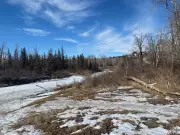 Calgary's Brief Warm Spell Precedes Anticipated Snowfall This Week