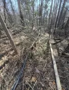 Copper Cable Theft Strikes Guelph-Eramosa, Disrupting Telecommunications