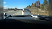 Driver Suspended Since 2023 Caught on Ottawa Highway by Ontario Police