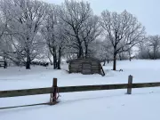 ECCC Issues Urgent Warning for Slippery, Icy Conditions in Winnipeg