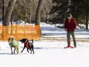 Edmonton Residents Voice Disappointment Over Hawrelak Park Reopening