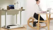 Ergonomic Solutions to Combat Sedentary Work-Related Back Pain