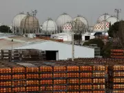 European Gas Prices Plummet as Trump Predicts Swift End to Iran Conflict