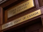 Federal Court Judge Rebukes Lawyer for Submitting AI-Generated 'Hallucinated' Cases