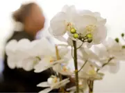 Federal Funding Announced for Alberta Women's Shelters Amid Domestic Violence Crisis