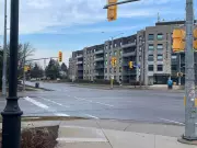 Flooding Temporarily Closes Key Guelph Streets After Heavy Rainfall
