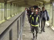 Freeport-McMoran Seeks Permit for $7.5 Billion Mine Expansion in Indonesia