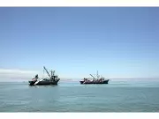 Global Fishing Watch Maps Entire Industrial Fleet in Landmark Ocean Transparency Year