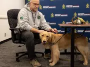Golden Retriever Taffy Sniffs Out Hidden Electronics for Saskatoon Police