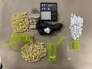 Guelph Police Seize $7K in Cocaine and Opioids During Arrest Operation