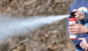 Hamilton Police Report Alarming Rise in Youth Bear Spray Assaults