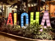 Hawaii's Tourism Economy Suffers as Canadian Visitors Boycott U.S. Over Political Tensions