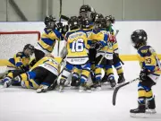 Hockey Edmonton Board Defies Parental Calls for Removal Amid Financial Concerns