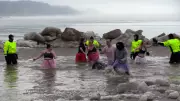 Hundreds Brave Frigid Lake Erie Waters, Raising Over $100K for Childcan Charity