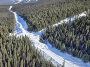 Icefields Parkway Reopens After Massive Avalanche, Clearing Efforts Continue