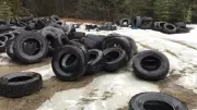 Illegal Dumping of Tires and Trash Plagues B.C. Provincial Park, Officials Report