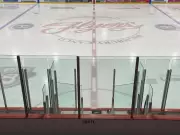 Leamington Flyer Fan Criticizes Town's Gymnastics Bid as Unappreciative