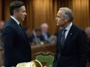 Liberals Maintain 14-Point Lead Over Conservatives in Latest Polling Data