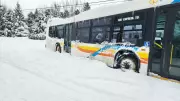 Major Winter Storm Disrupts Sudbury: Municipal Services Remain Largely Closed