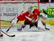 Marek Schlenker's Journey from Depth Acquisition to Regina Pats Playoff Starter