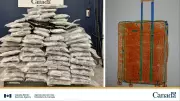 Massive Illegal Cannabis Haul Seized at Toronto Pearson Airport by CBSA