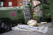 Montreal's Mercier–Hochelaga-Maisonneuve to Reinstate Weekly Summer Garbage Collection