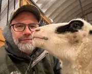 New Brunswick Farmers Protest Government's Privatization of Large Animal Vet Services