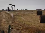 Oil Price Surge from Iran War to Drive Canadian Inflation and Job Losses