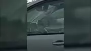 OPP Catches Driver Using Cellphone on Highway 417 in Ottawa During Rush Hour