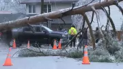 Orillia Reflects on Devastating Ice Storm One Year Later: 'They Made the Impossible, Possible'