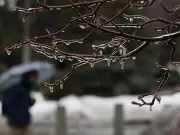 Ottawa Braces for Extended Freezing Rain Event Starting Tuesday Morning