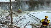 Ottawa Firefighters Execute Dramatic Ice Rescue of Dog from Jock River