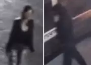 Police Seek Two Suspects After Gunshot Reported at Brantford Hotel