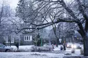 Power Outages Persist in Montreal Following Severe Ice Storm