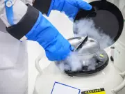 Quebec Father and Son Banned from Sperm Donation After Allegedly Fathering 613 Children