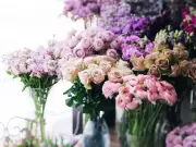 Quebec Tourist Arrested in Florida for Alleged Flower Shop Fraud Scheme