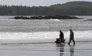 Record Cold Grips B.C. Communities as Arctic Air Mass Descends