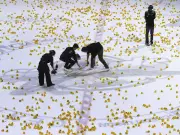 Rubber Ducks Rain Down at Windsor Spitfires Game for Hospice Fundraiser