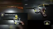 Sarnia Police Seize Firearms, Lay Charges After Domestic Violence Call