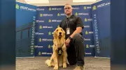 Saskatchewan Police Dog Taffy Sniffs Out Devices in Child Exploitation Cases