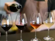 Similkameen Valley Wineries Embrace Experiential Visits in 2026