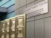 Son Admits to Mother's Fatal Assault, Seeks Not Criminally Responsible Verdict