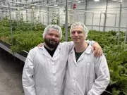 Southern Alberta Business Transforms Former Cannabis Facility into Mushroom Farm