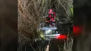 Squamish Firefighters Execute Dramatic Rescue of Four People and Dog from Sinking Vehicle