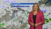 Stormy Weather Persists Across Southern Ontario, Bringing Rain and Thunderstorms